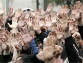 13.05.2013 -      12 