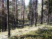 12.09.2012 -        1,8 . 